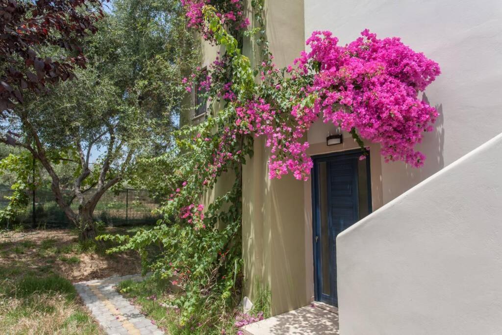Villa Manolis Chrissi Akti Chania Exterior foto